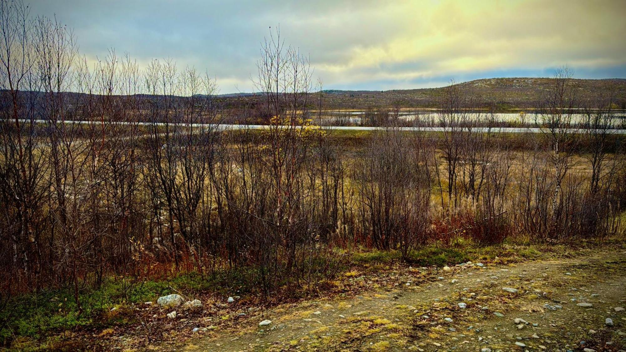 Cottage Lavkavann Finnmarksvidda Skoganvarre Bagian luar foto