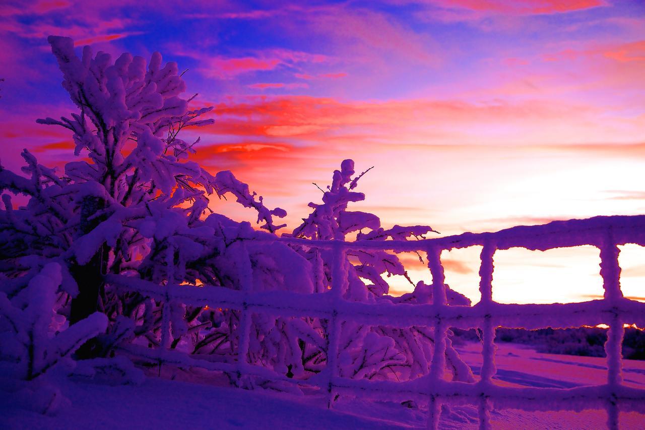 Cottage Lavkavann Finnmarksvidda Skoganvarre Bagian luar foto